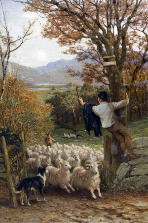 A Spanish Shepherd